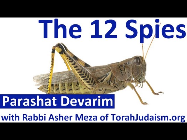 The 12 spies – Parashat Devarim