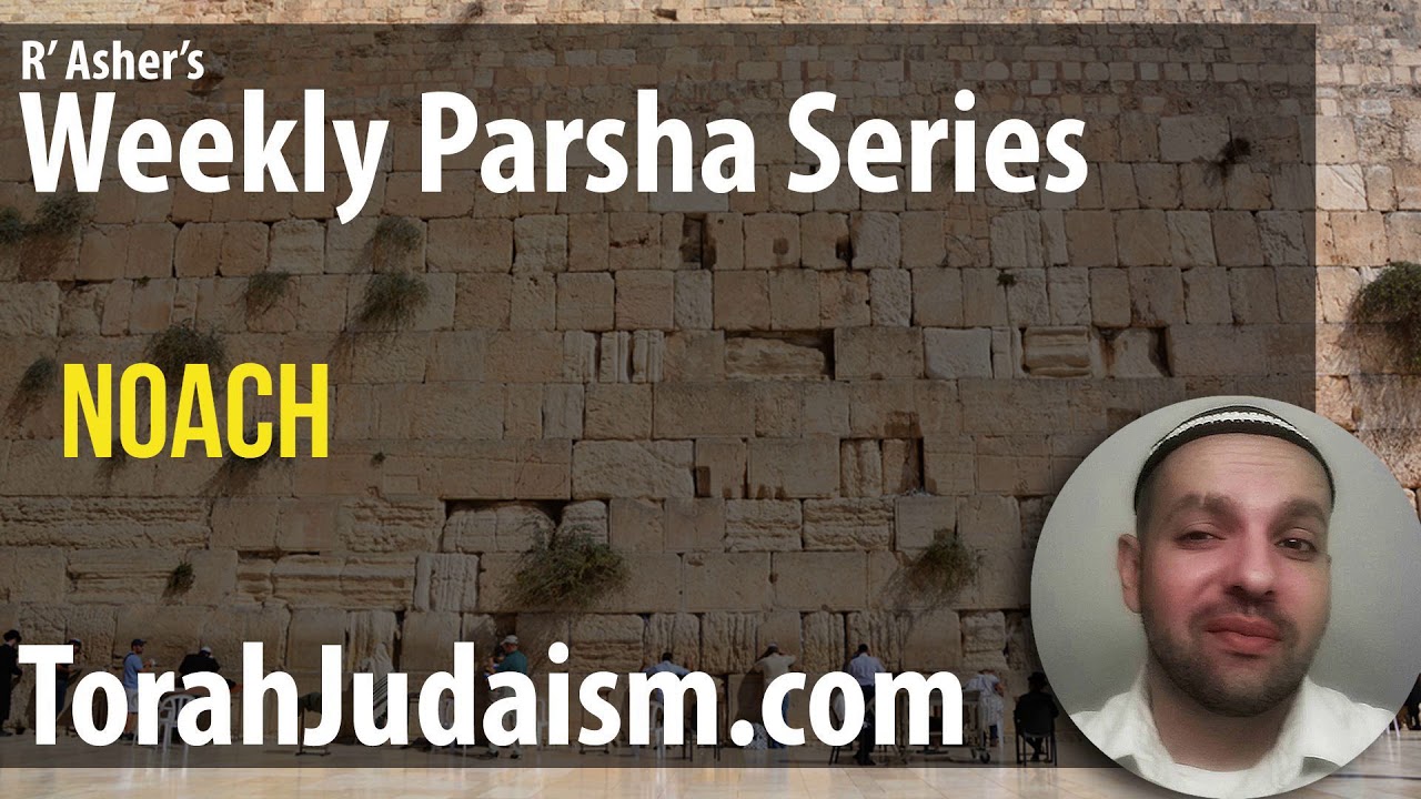 R’ Asher on Parashat Noach