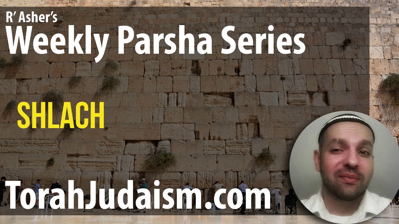R’ Asher on Parashat Shlach