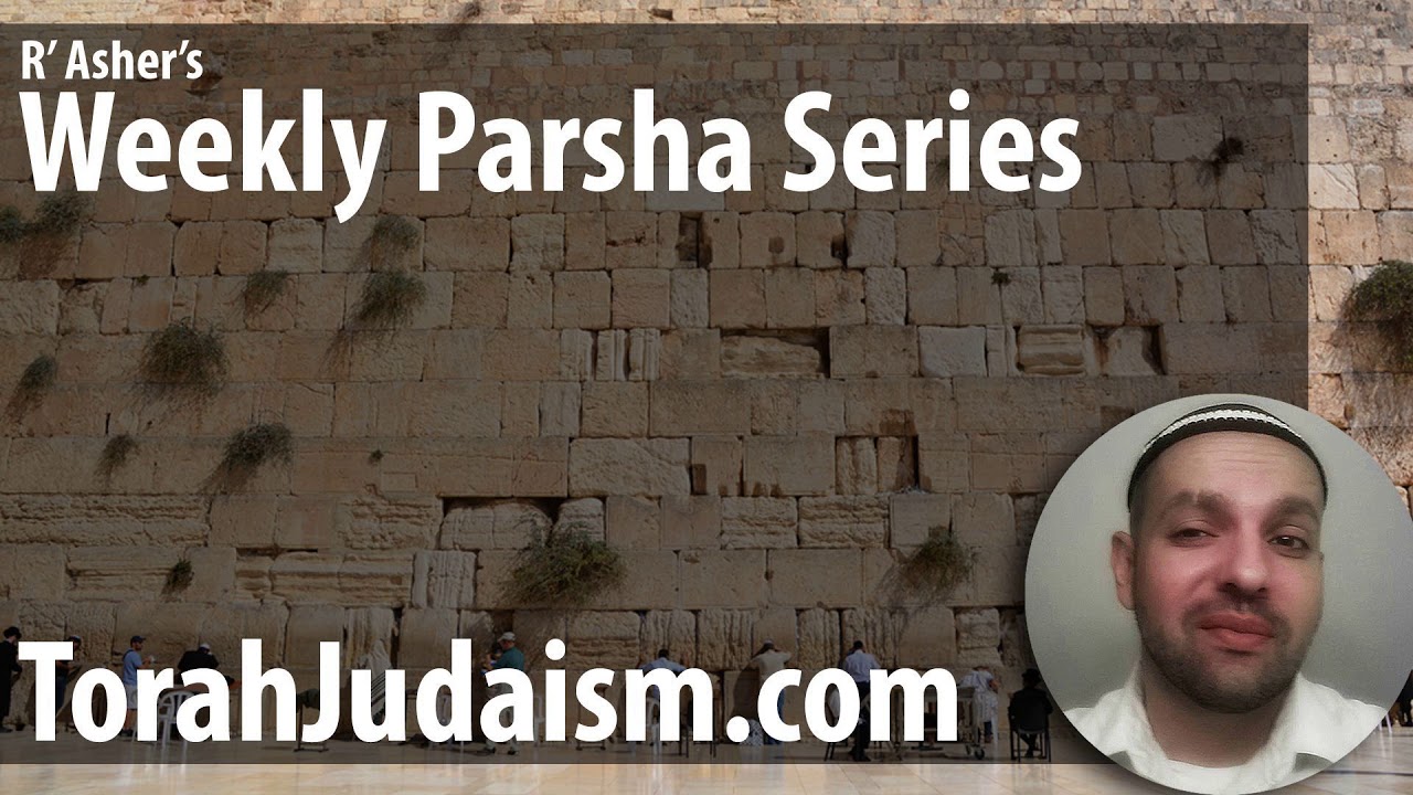 R’ Asher on Parashat Bo