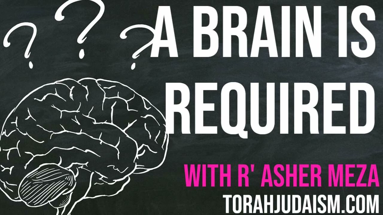 A Brain is Required