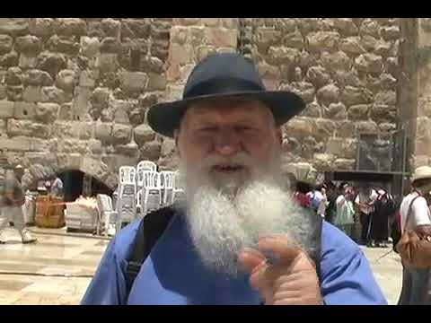 The Best of Life is Pure Torah