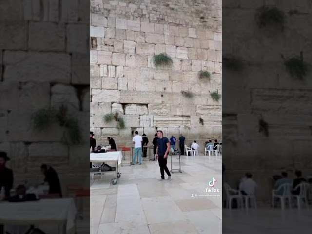 Kotel