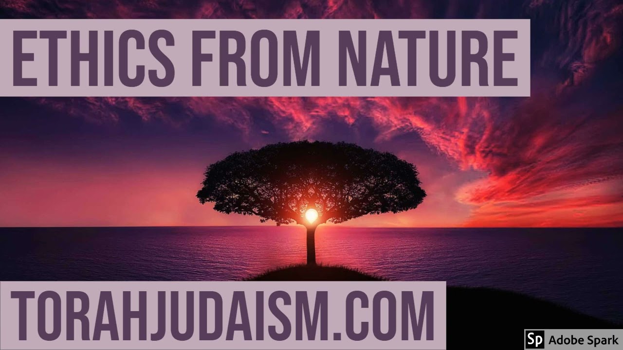 Ethics from Nature