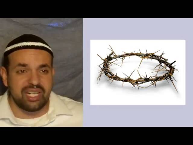 Foreshadows of Messiah