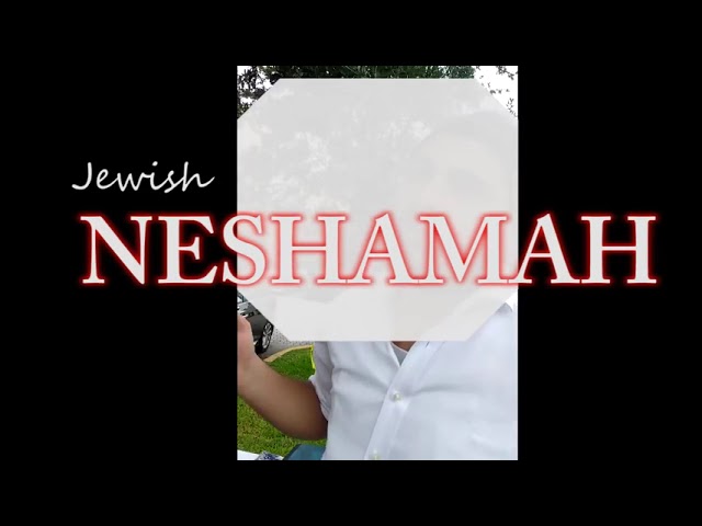 Having fun with Chabad