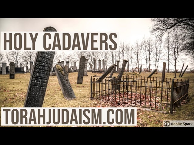 HOLY CADAVERS