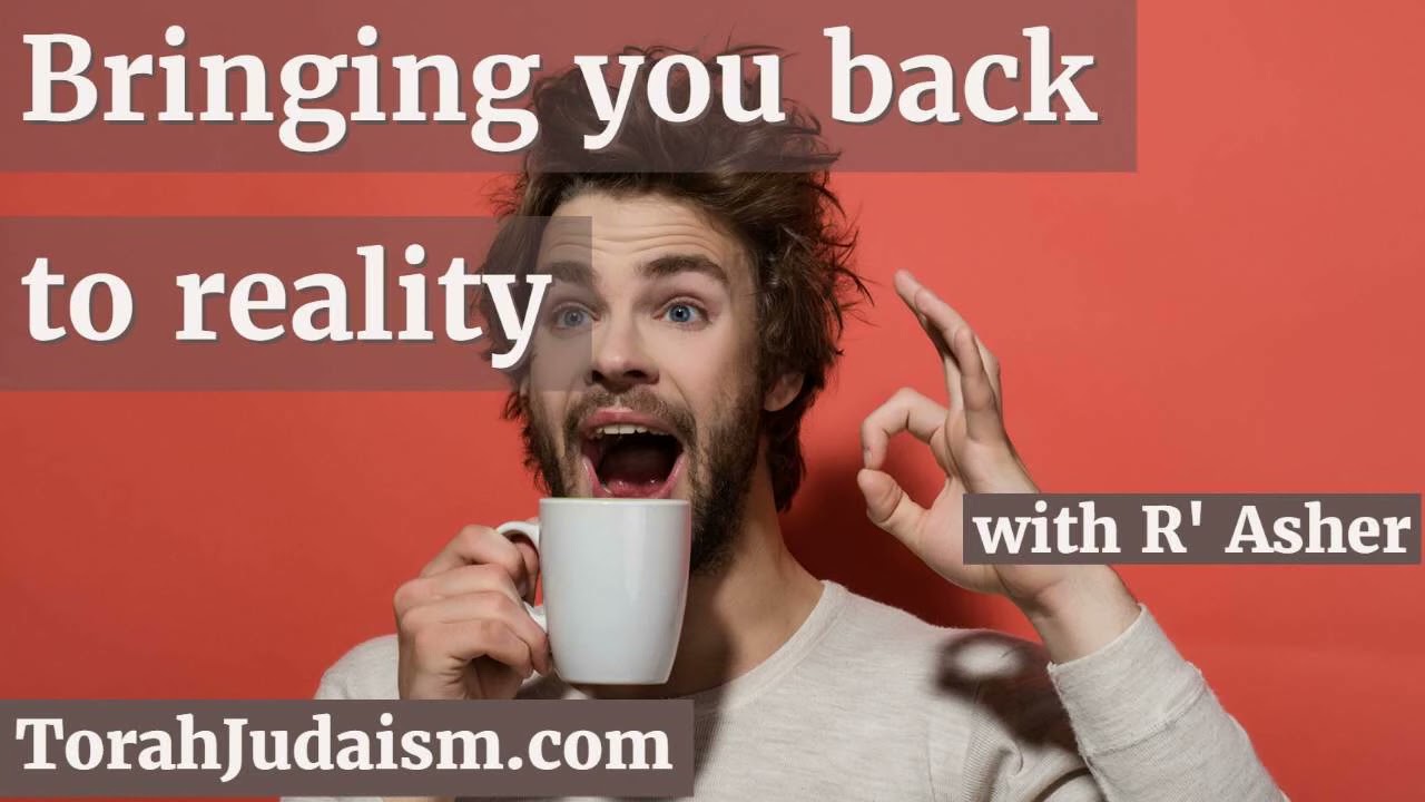 Bringing you back to reality