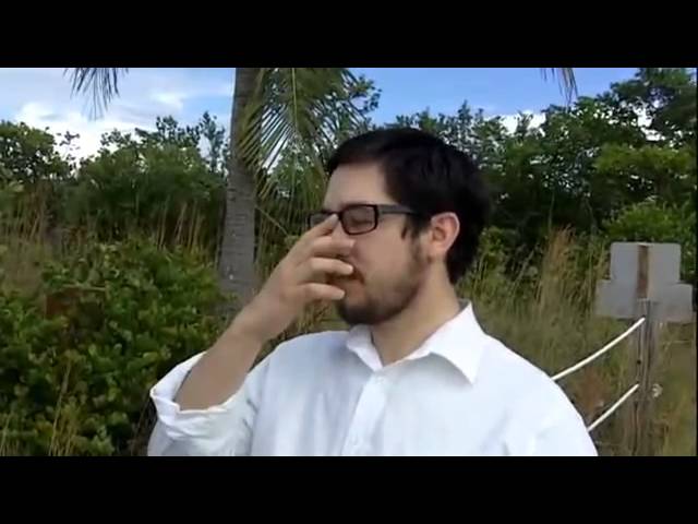 TJI’s Miami Conversions 5773