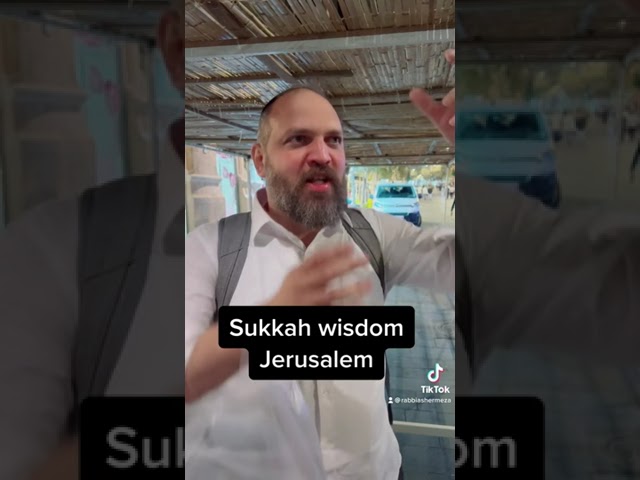 Sukkah Wisdom