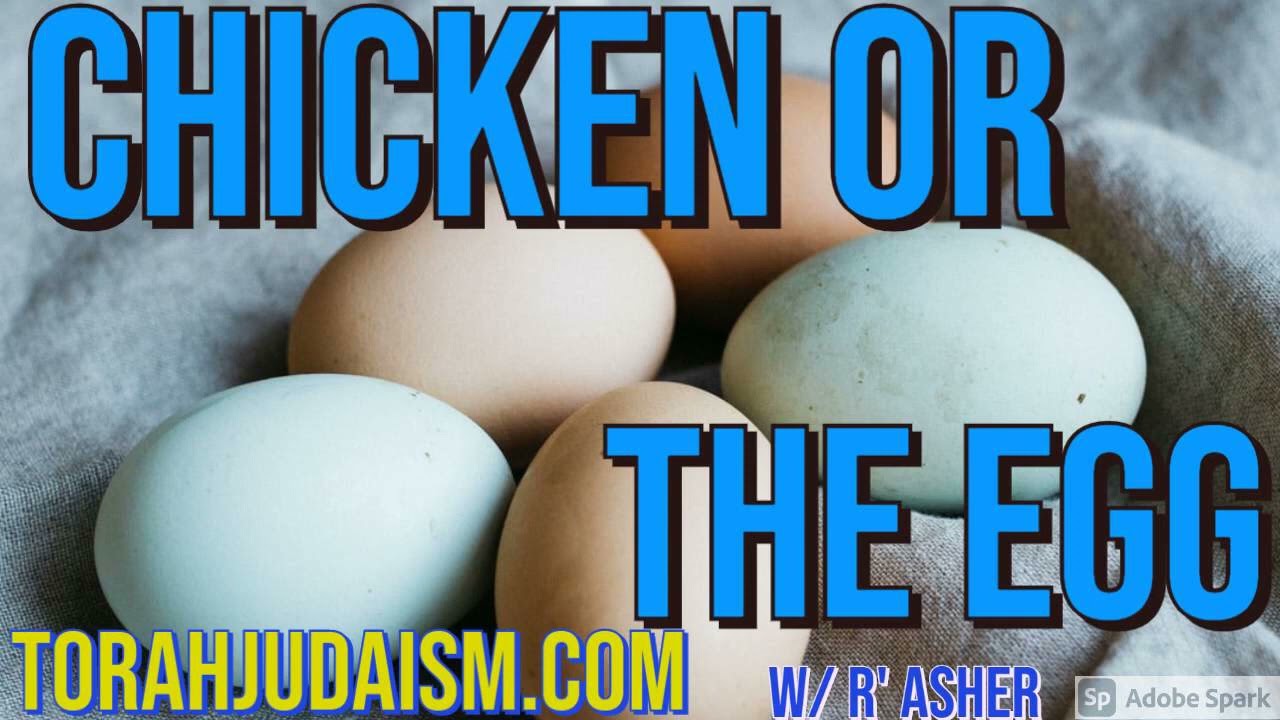 Chicken or the Egg