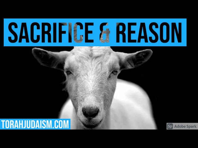 Sacrifice & Reason