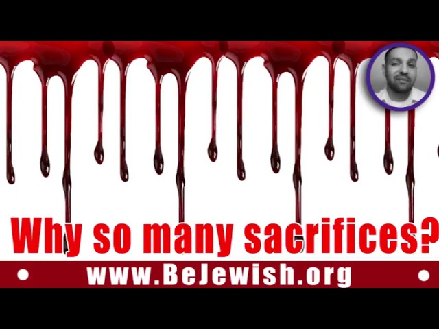 Why so many sacrifices?
