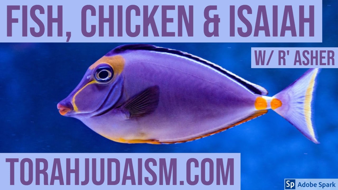 Fish, Chicken & Isaiah