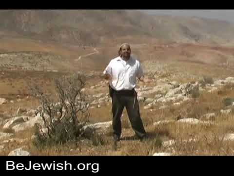 Jews Must Seek Converts! SpreadTorah