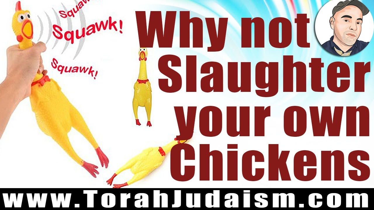 Kosher: Slaughter your own Chickens