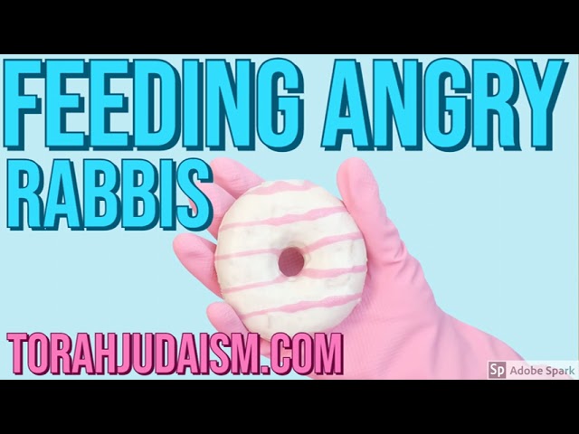 FEEDING ANGRY RABBIS