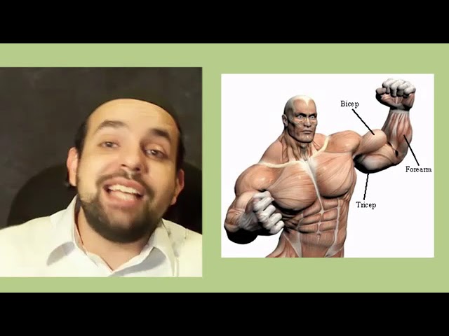 What are the Jewish People