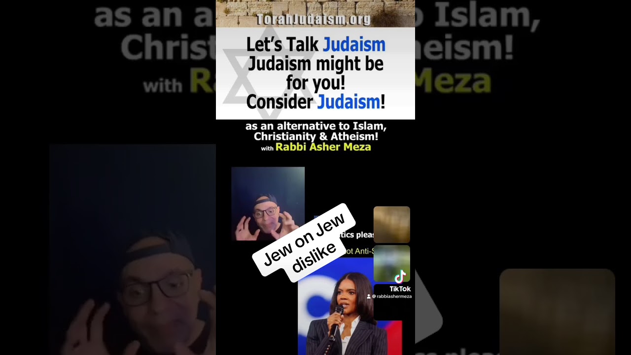 Jew on Jew dislike