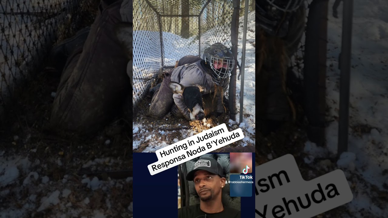 Hunting in Judaism