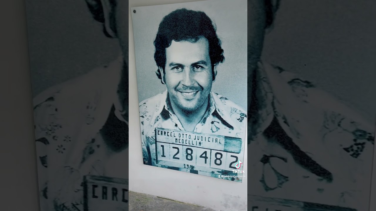 Plata o plomo