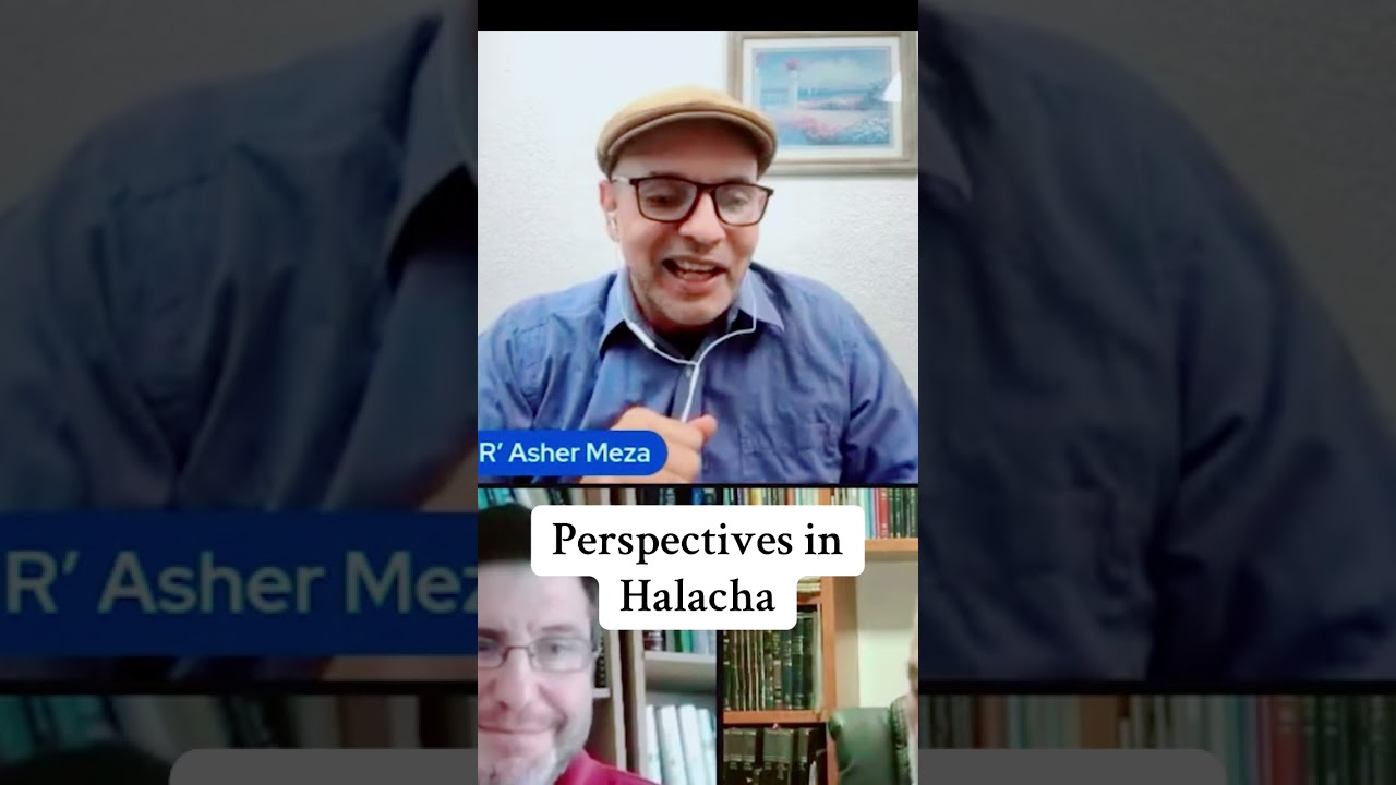 Perspectives in Halacha