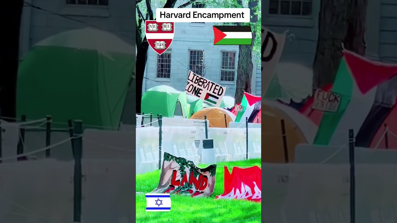 Palestinian Encampment at Harvard #Ashermeza #gaza #Israel #jewish #harvard #harvardyard #boston