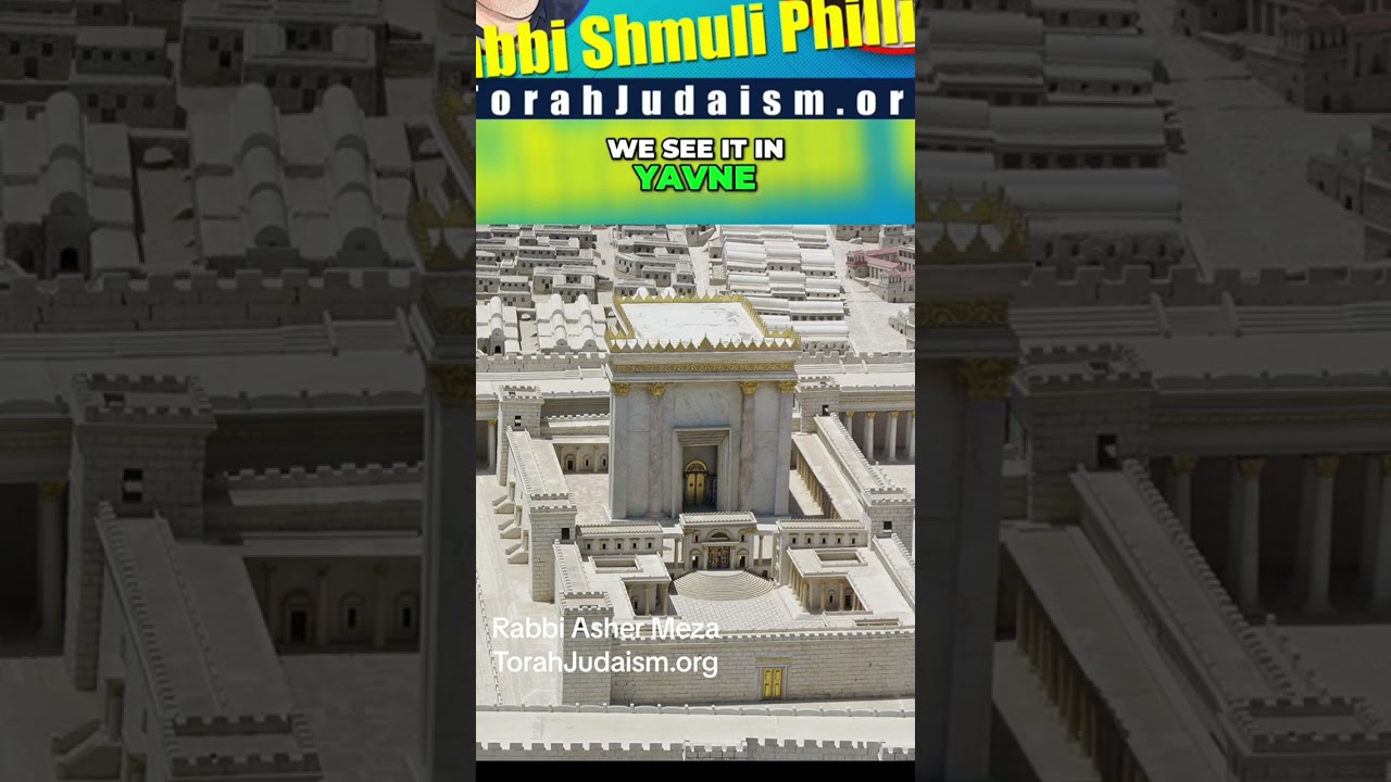 Lo Tassur: Judaism #Ashermeza #torah #chabad #halacha #talmud #biblical #jewish #noahide #halacha