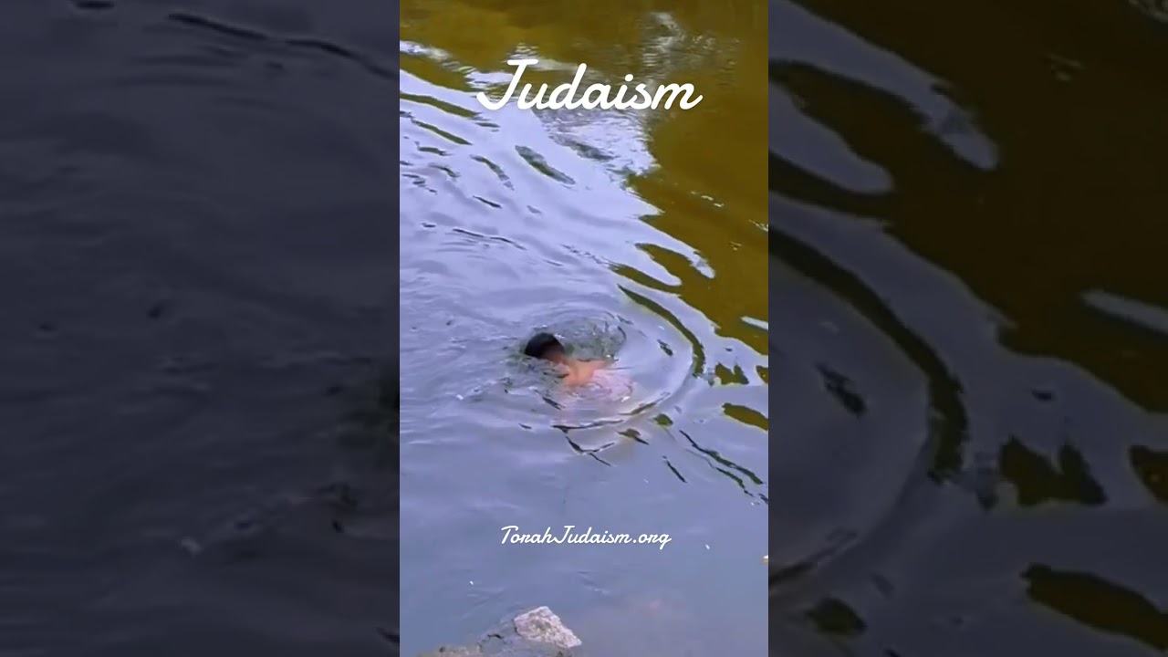 Judaism welcimes you! Be Jewish!!! #torah #Judaism #converttojudiasm #rabbiasher #prophecy #israel